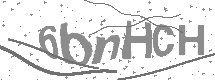 visual captcha